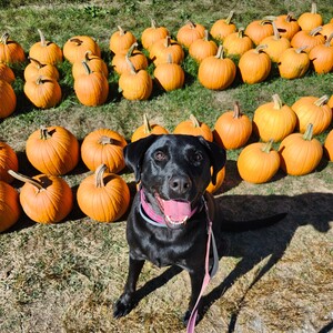 Fundraising Page: Anna Powers